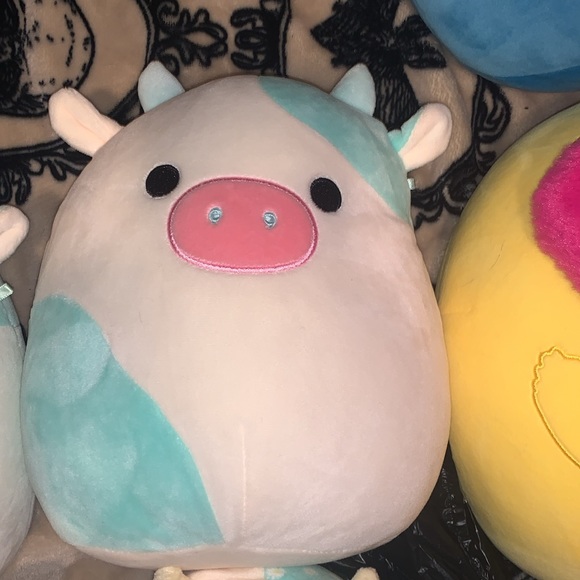 Belana the cow squishmallow bundle of 5 different cow squishmallows - Picture 4 of 6